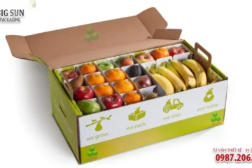 HỘP CARTON ĐỰNG HOA QUẢ NẮP ÂM DƯƠNG