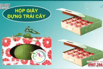 HỘP CARTON ĐỰNG HOA QUẢ NẮP ÂM DƯƠNG