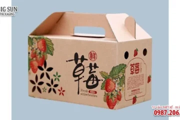 HỘP CARTON ĐỰNG HOA QUẢ NẮP ĐỐI MÃI