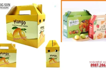HỘP CARTON ĐỰNG HOA QUẢ NẮP ĐỐI MÃI
