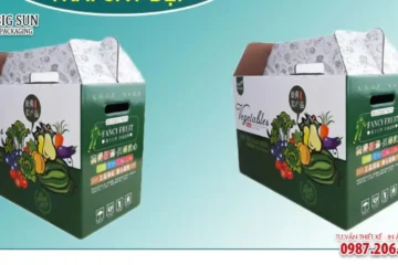 HỘP CARTON ĐỰNG HOA QUẢ NẮP ĐỐI MÃI