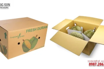 HỘP CARTON ĐỰNG HOA QUẢ NẮP GẬP