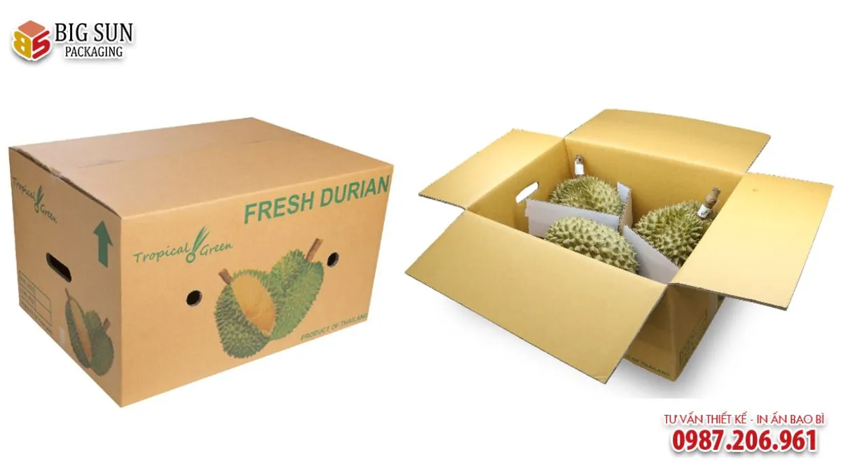 HỘP CARTON ĐỰNG HOA QUẢ NẮP GẬP 