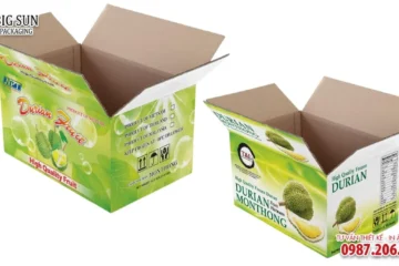 HỘP CARTON ĐỰNG HOA QUẢ NẮP GẬP