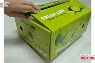 HỘP CARTON ĐỰNG HOA QUẢ NẮP GẬP