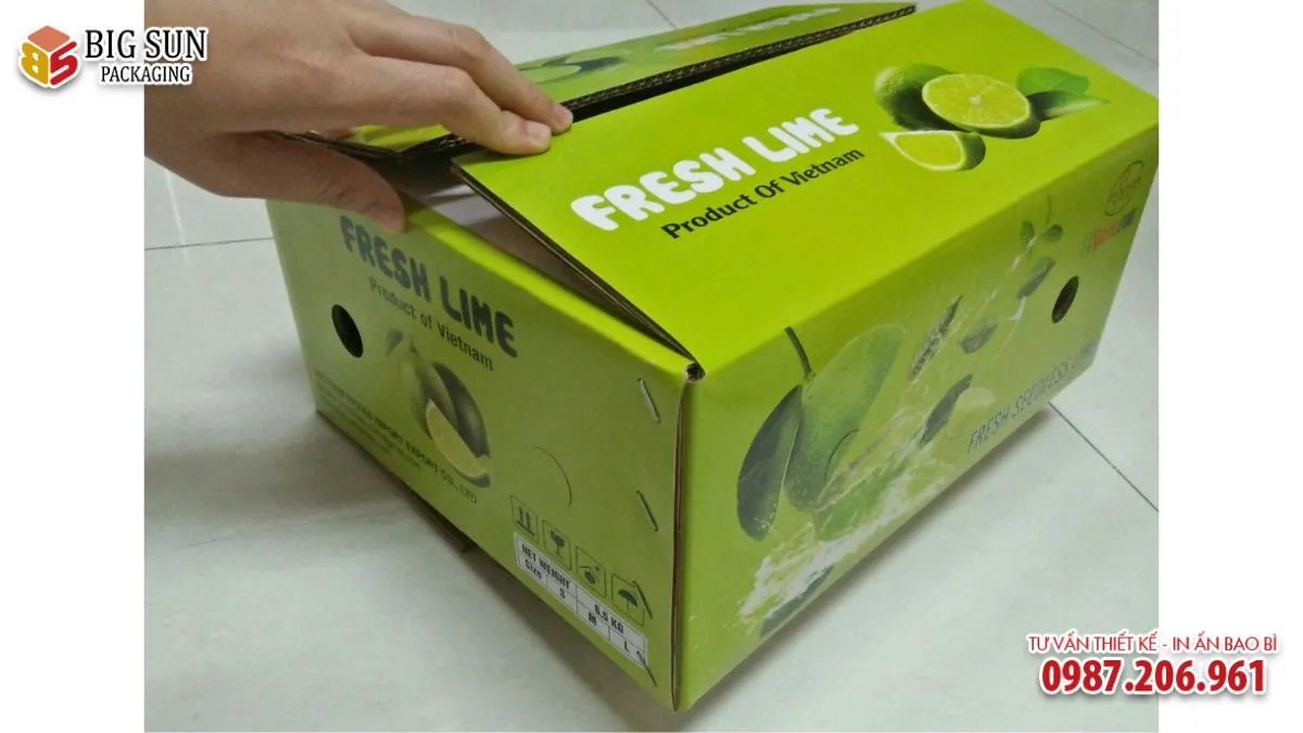 HỘP CARTON ĐỰNG HOA QUẢ NẮP GẬP