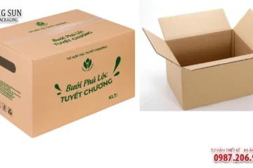HỘP CARTON ĐỰNG HOA QUẢ NẮP GẬP