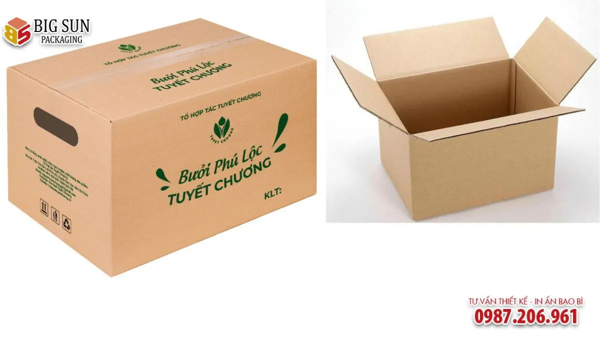 HỘP CARTON ĐỰNG HOA QUẢ NẮP GẬP