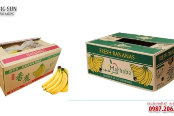HỘP CARTON ĐỰNG TRÁI CÂY NÔNG SẢN CAO CẤP
