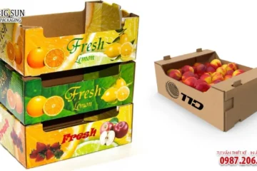 HỘP CARTON ĐỰNG TRÁI CÂY NÔNG SẢN CAO CẤP