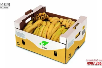 HỘP CARTON ĐỰNG TRÁI CÂY NÔNG SẢN CAO CẤP
