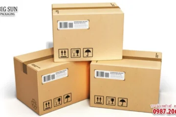 Hộp carton đựng gỗ xuất khẩu