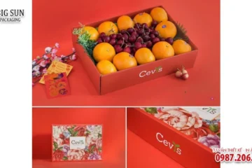 HỘP ĐỰNG TRÁI CÂY CHẤT CARTON GIÁ RẺ