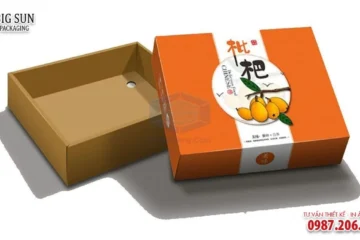 HỘP ĐỰNG TRÁI CÂY CHẤT CARTON GIÁ RẺ