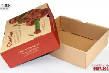 HỘP ĐỰNG TRÁI CÂY CHẤT CARTON GIÁ RẺ