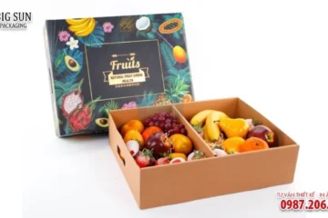 HỘP ĐỰNG TRÁI CÂY CHẤT CARTON GIÁ RẺ