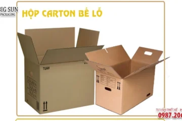 Thùng carton đựng gỗ xuất khẩu bế lỗ