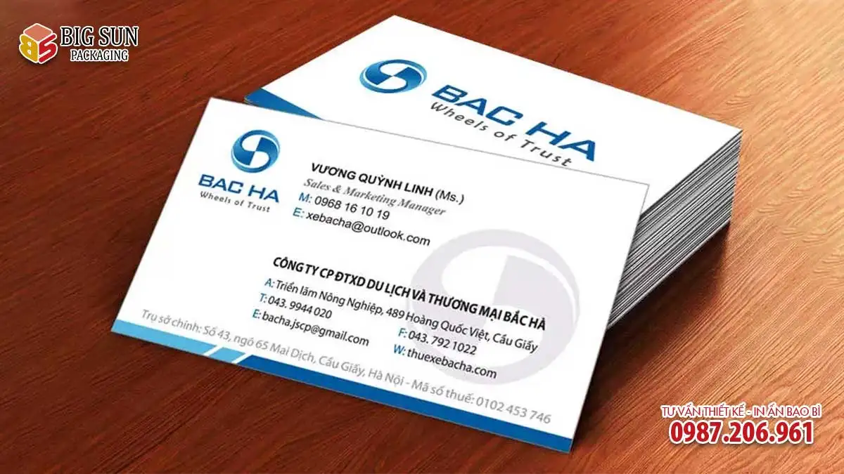 mau in card visit sale bac ha
