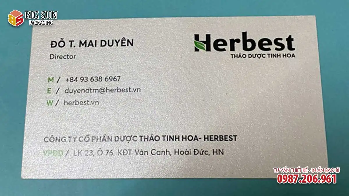 mau in card visit sale cong ty herbest