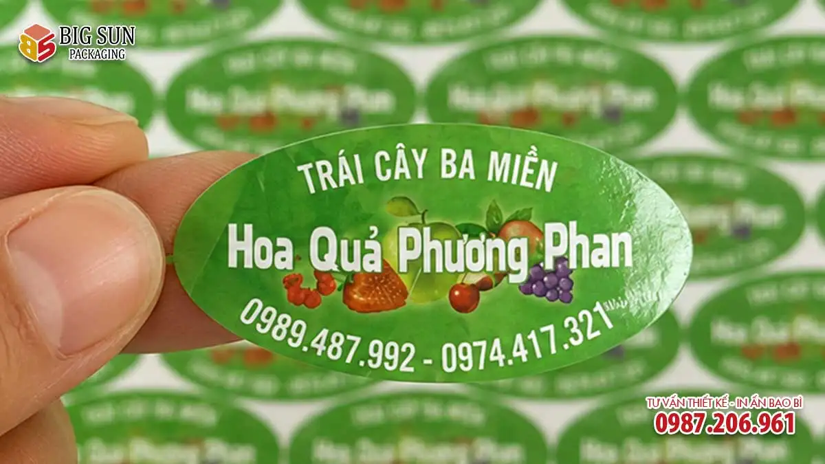 mau sticker hinh elip thuong hieu hoa qua phuong phan