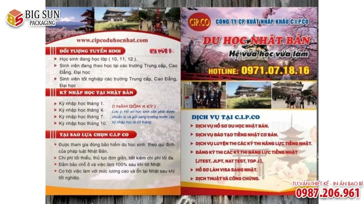 Bí quyết thiết kế tờ rơi du học tiếng Nhật thu hút và chuyên nghiệp (6)