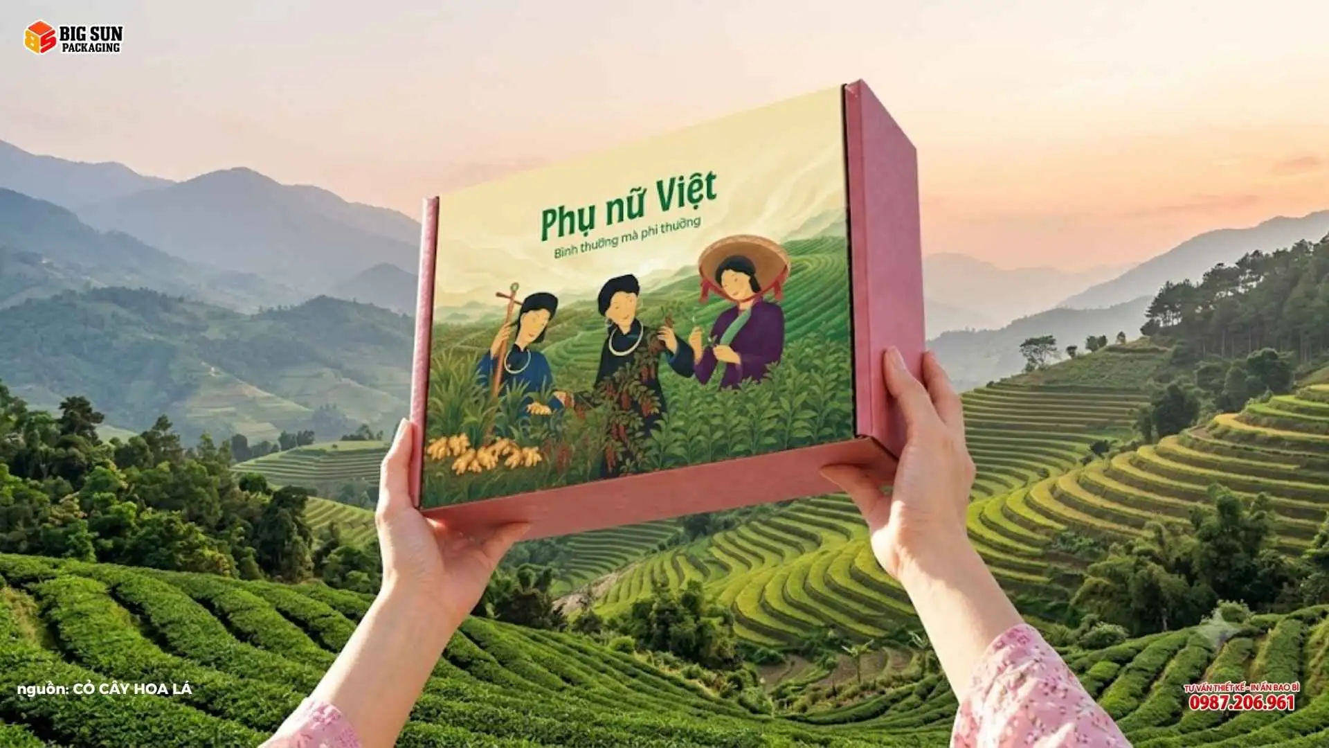 HỘP QUÀ TẶNG THƯƠNG HIỆU CỎ CÂY HOA LÁ – THIẾT KẾ BAO BÌ MANG ĐẬM BẢN SẮC VIỆT